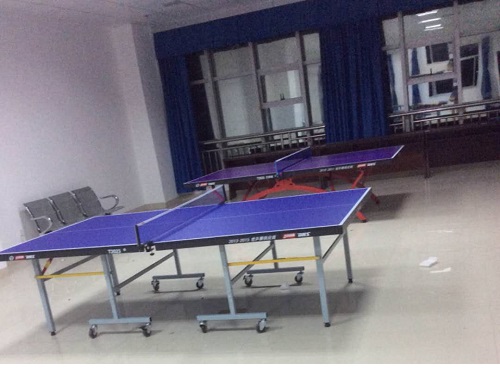 乒乓球台