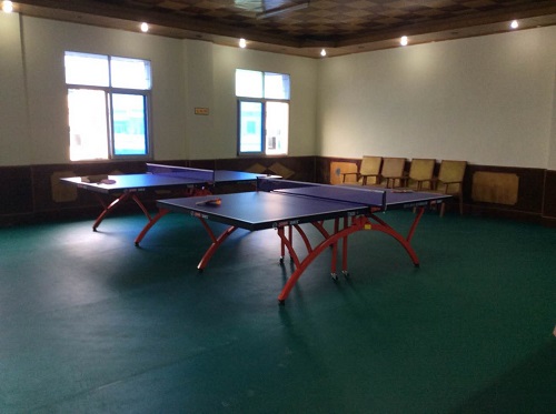 乒乓球台