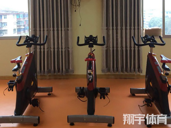 室内健身器材